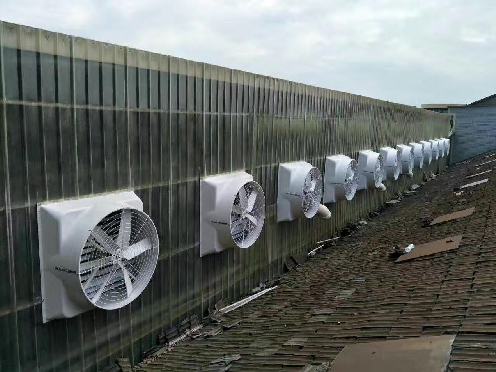 負(fù)壓風(fēng)機(jī)安裝案例5